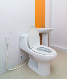 שירותים מהודרים